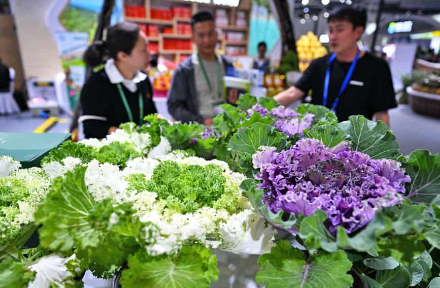 海南冬交會(huì)開幕